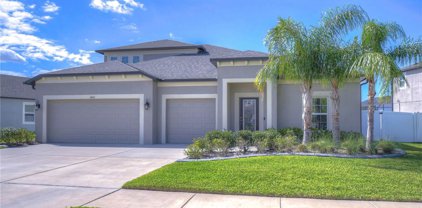 11421 Acacia Grove Lane, Riverview