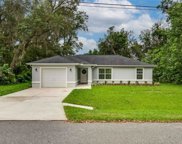 60 Juniper Trail, Ocala image
