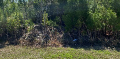 Lot 13 Gulf Terrace Ln, Port St. Joe