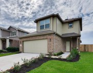 12318 Belhaven Terrace Drive, Humble image