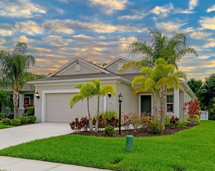 10817 Pine Bluff Glen, Parrish