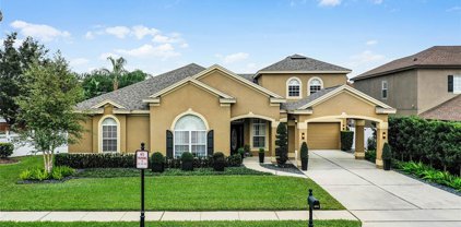 602 Chester Pines Court, Ocoee