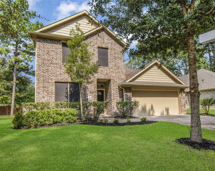3807 Springcrest Lane, Montgomery