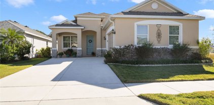 8492 Bridgeport Bay Circle, Mount Dora