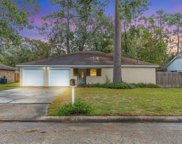 22814 Whispering Willow Drive, Spring image