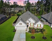 23443 Timbarra Glen Drive, New Caney image