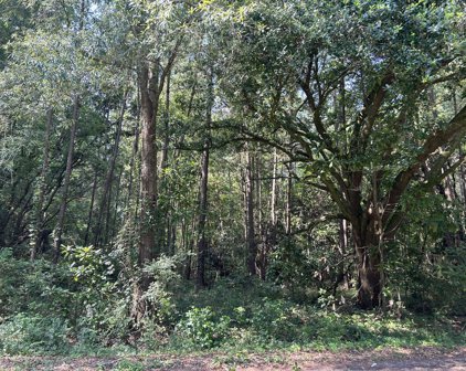 00 Old Parsonage Road, Summerville