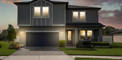 34328 Evergreen Hill Court, Wesley Chapel