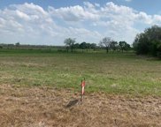 12225 Mcfarlane Road, Beasley image