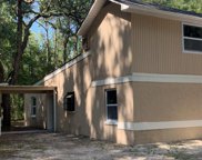 8031 Nw 165th St 32693, Fanning Springs image