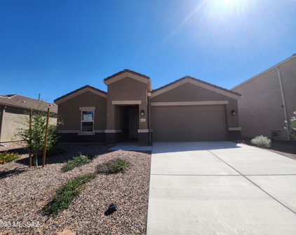 8761 W Red Spike Ice, Marana