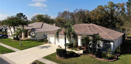 1226 Berkshire Lane, Tarpon Springs