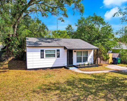 306 E Hydrangia Street, Tampa
