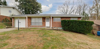 122 Canary  Lane, St Charles