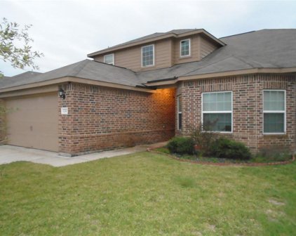 1210 Diamond Drape Drive Drive, Iowa Colony