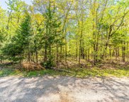 1003 Primrose, Horseshoe Bend image