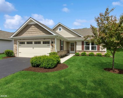 2839 Silver Springs Court, Yorkville