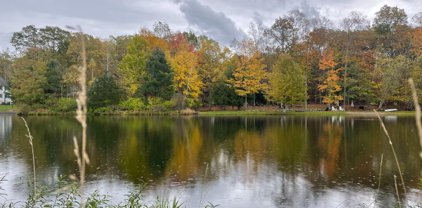 Paradise Lake Road, Catskill