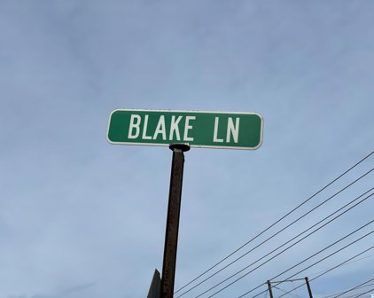 lot 38 Blake Lane, Arab