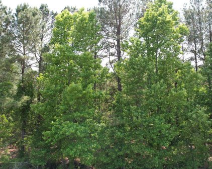 00 East Beulah Rd., Lake City