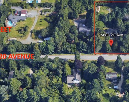 16885 20 Avenue, Surrey
