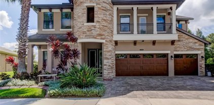21346 Chrysalis Cay Loop, Land O' Lakes