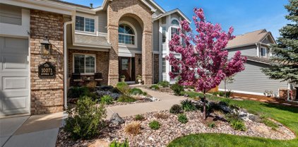 10071 Astoria Court, Lone Tree