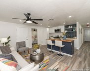 217 Fenfield Ave, San Antonio image