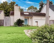 4305 Ione Street, Bellaire image