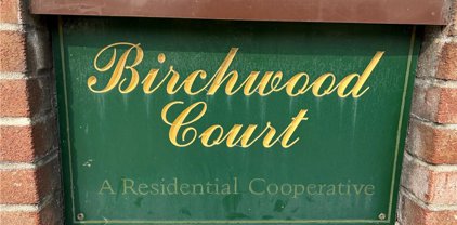 5 Birchwood Court Unit #5N, Mineola