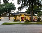 2424 Valrico Forest Drive, Valrico image