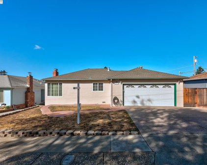 23917 Mayville Drive, Hayward