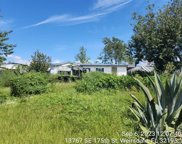 13767 Se 175th Street, Weirsdale image
