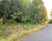 McGowan Creek RD, Springfield image