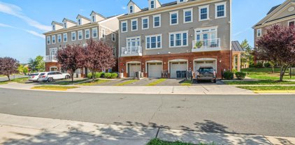 42550 Wildly Ter, Ashburn