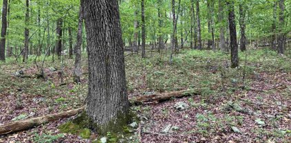Lot 1 Blk 4 Almonte Way, Hot Springs Village