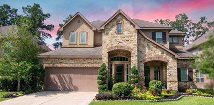 11 Canoe Bend Drive, The Woodlands