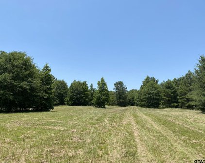 1586 County Rd 4224, Troup