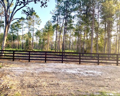 24633 Lot 15 Fm 844, Huntington