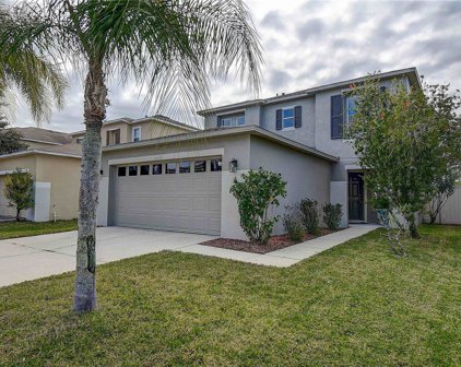 18826 Sunterra Drive, Land O' Lakes