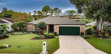 13604 Clubside Drive, Tampa
