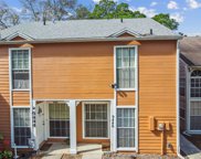 9446 Forest Hills Circle, Tampa image