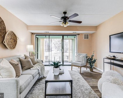 5236 W Running Brook Rd W Unit #101, Columbia