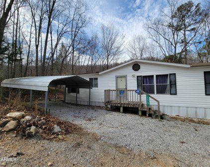 173 Scenic Point Drive, Caryville