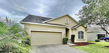 7738 Atwood Drive, Wesley Chapel