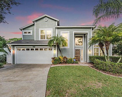 17611 Esprit Drive, Tampa