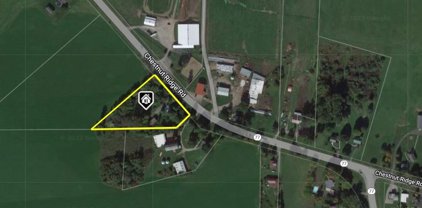 9056 Chestnut Ridge  Road, Royalton-293689