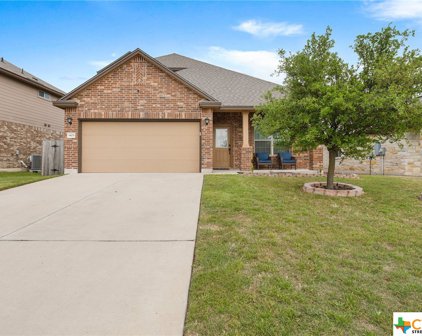 1423 Fawn Lily Drive, Temple