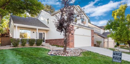 9715 Red Oakes Drive, Highlands Ranch