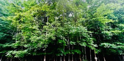 Lot 31 Back Nine  Dr, Moneta